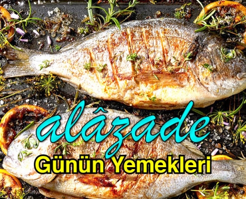 Alazade Günün Yemekleri Menü